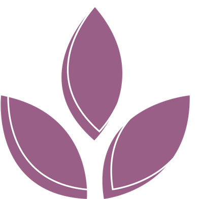 Che cosa sono le fibre?