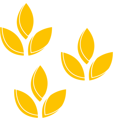 I benefici delle fibre