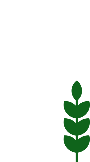 Dai semi al cucchiaio