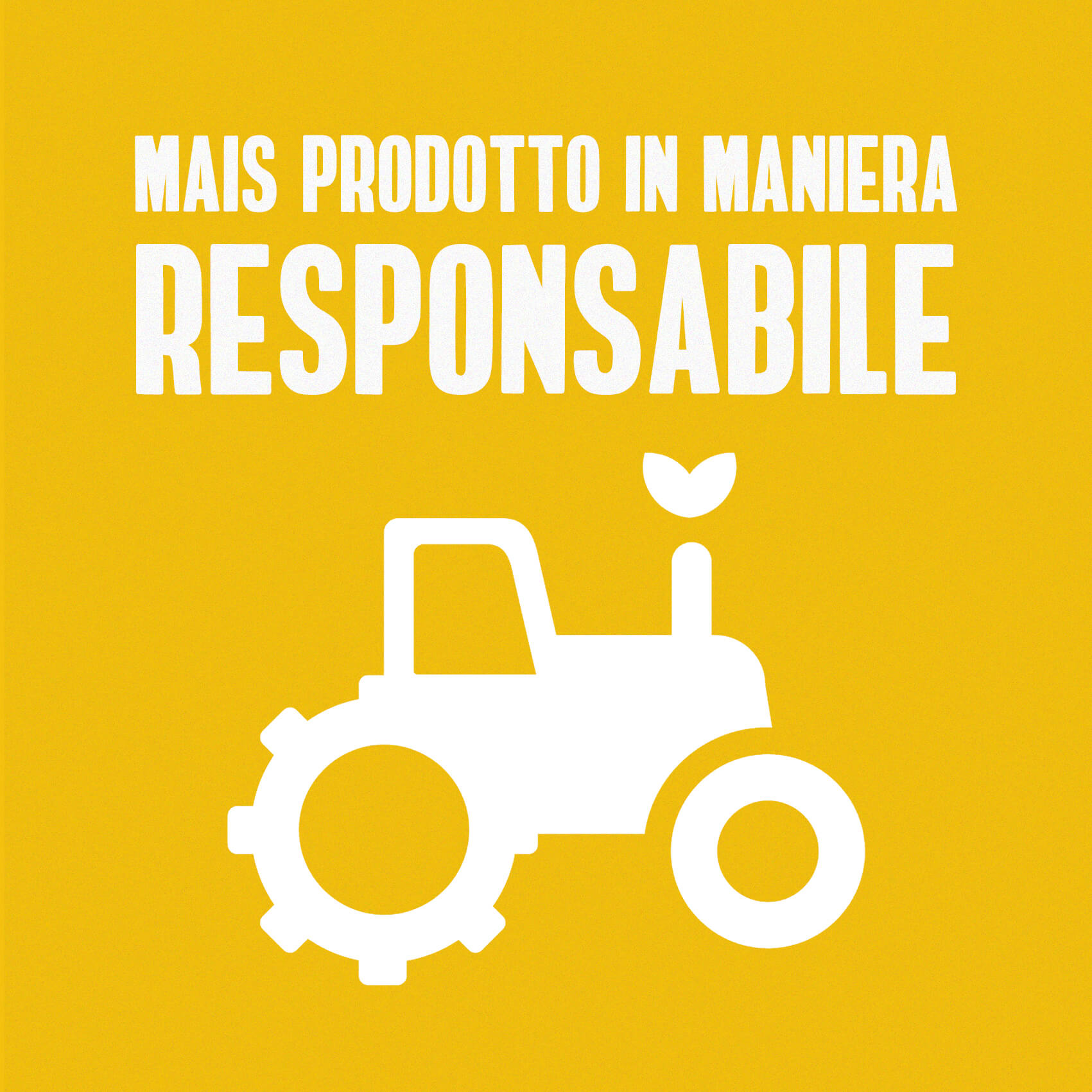 MAIS PRODOTTO IN MANIERA RESPONSABILE